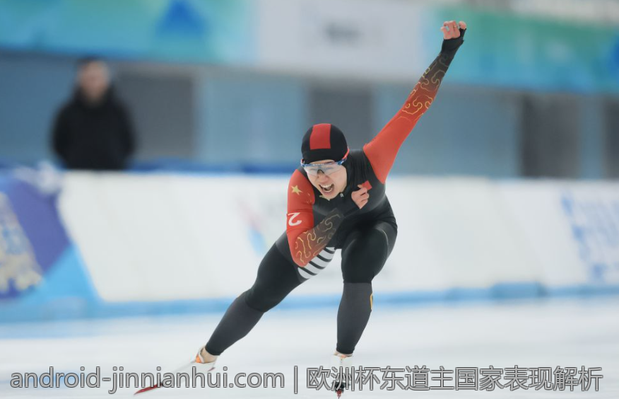 欧洲杯东道主国家表现解析